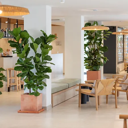 Copaiba By Honne - Adults Only 3* Playa de Palma (Mallorca)
